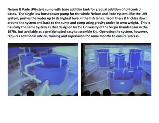 Nelson & Pade UVI-style sump with base addition tank for gradual addition of pH control
bases. The single low horsepower pump for the whole Nelson and Pade system, like the UVI
system, pushes the water up to its highest level in the fish tanks. From there it trickles down
around the system and back to the sump and pump using gravity under its own weight. This is
basically the same system as that designed by the University of the Virgin Islands team in the
1970s, but available as a prefabricated easy to assemble kit. Operating the system, however,
requires additional advice, training and supervision for some months to ensure success.
 