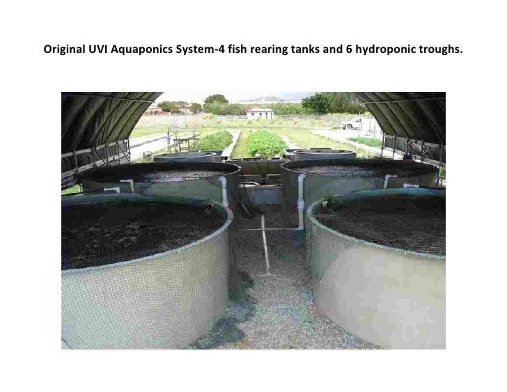 degassing tank in aquaponics - aquaponic