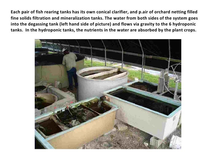 Aquaponics forhainan3