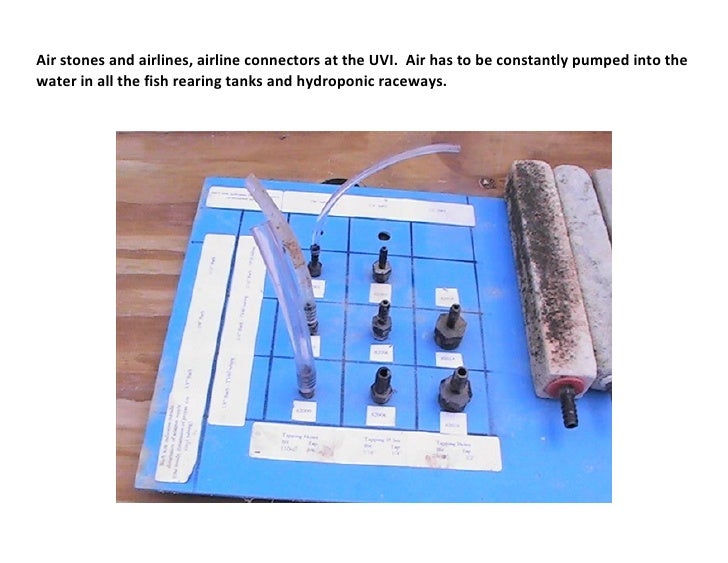 indoor aquaponics & home aquaponics kits - youtube