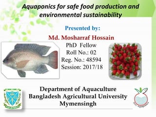 Aquaponics for safe food production and
environmental sustainability
Md. Mosharraf Hossain
PhD Fellow
Roll No.: 02
Reg. No.: 48594
Session: 2017/18
Presented by:
Department of Aquaculture
Bangladesh Agricultural University
Mymensingh
 