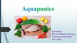 Aquaponics
R.Gobiraj
BSc in Fisheries Science,
University Of Jaffna,
Sri Lanka.
 