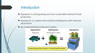 Introduction
 Aquaponic is a fast growing and more sustainable method of food
production.
 Aquaponics is a system that c...
