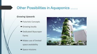 Conclusion
Aquaponics is a more sustainable food production systems
It involves the production of both fish and vegetabl...
