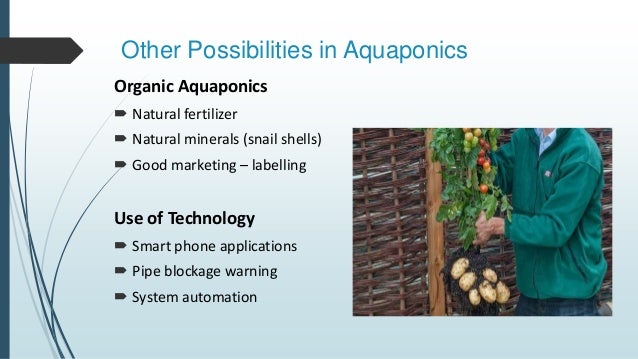 aquaponics, gobi