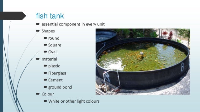 austin aquaponics... very stout gravel filled growing beds