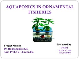 AQUAPONICS IN ORNAMENTAL
FISHERIES
Project Mentor
Dr. Honnananda B.R.
Asst. Prof, CoF, kawardha
Presented by
Devati
B.F.Sc. 4th year
CoF, kwardha
 