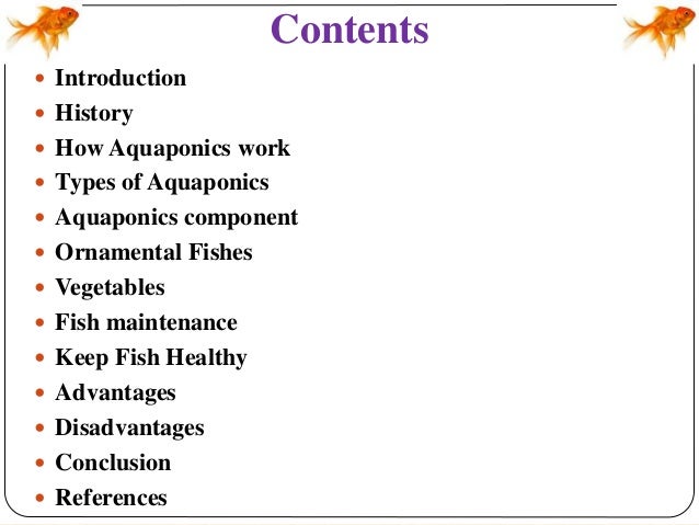 aquaponics in ornamental fish