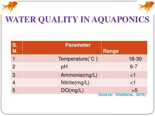 15 coolest fish bowls and awesome aquarium designs - part 3.