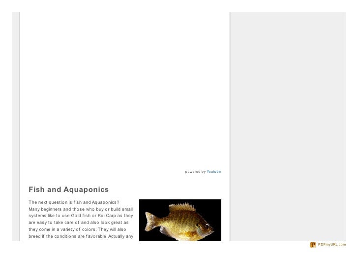 Aquaponics DIY For Beginners