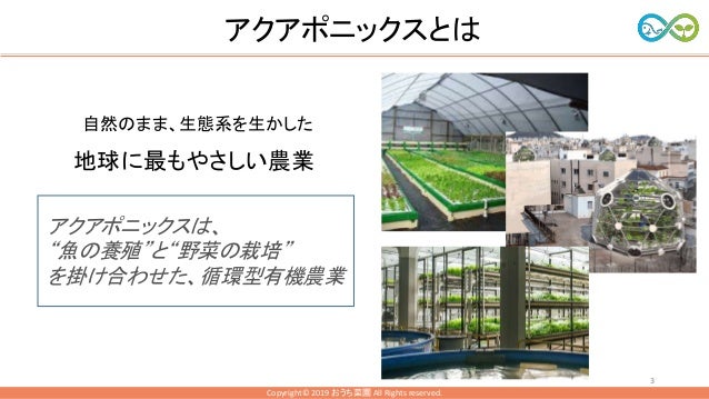 アクアポニックス交流会で話す資料