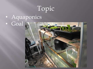 Topic
• Aquaponics
• Goal
 