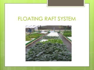 FLOATING RAFT SYSTEM
 