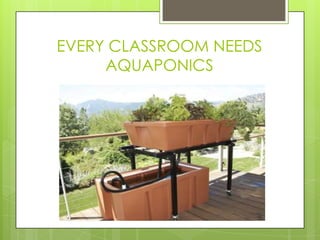 EVERY CLASSROOM NEEDS
AQUAPONICS
 