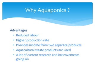 Why Aquaponics ?
Advantages
• Reduced labour
• Higher production rate
• Provides income from two separate products
• Aquacultural waste products are used
• A lot of current research and improvements
going on
 