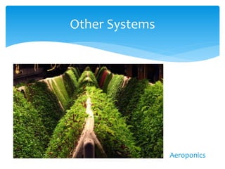 Other Systems
Aeroponics
 