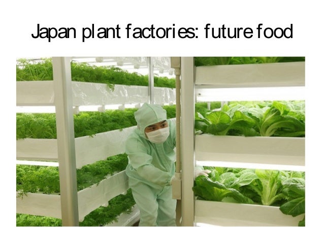 aquaponic agriculture japan - aquaponic