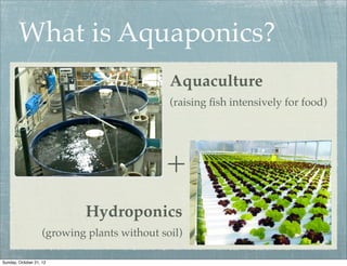 What is Aquaponics?
                                              Aquaculture
                                              (raising ﬁsh intensively for food)




                                             +
                             Hydroponics
                    (growing plants without soil)

Sunday, October 21, 12
 