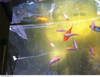 July 2012




Sunday, October 21, 12
 