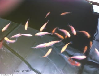 August 2012
Sunday, October 21, 12
 