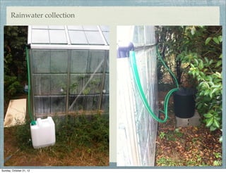 Rainwater collection




Sunday, October 21, 12
 