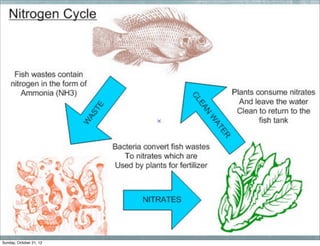 Sunday, October 21, 12
 