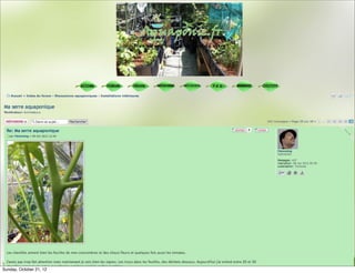 Sunday, October 21, 12
 