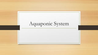Aquaponic System
 