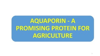 AQUAPORIN - A
PROMISING PROTEIN FOR
AGRICULTURE
1
 