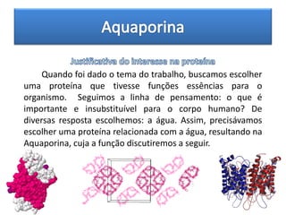 Quando foi dado o tema do trabalho, buscamos escolher
uma proteína que tivesse funções essências para o
organismo. Seguimos a linha de pensamento: o que é
importante e insubstituível para o corpo humano? De
diversas resposta escolhemos: a água. Assim, precisávamos
escolher uma proteína relacionada com a água, resultando na
Aquaporina, cuja a função discutiremos a seguir.
 