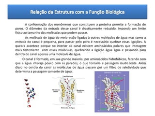 A conformação dos monômeros que constituem a proteína permite a formação de
poros. O diâmetro da entrada desse canal é drasticamente reduzido, impondo um limite
físico ao tamanho das moléculas que podem passar.
        As molécula de água do meio estão ligadas à outras moléculas de água mas como a
entrada do canal é pequena, para passar pelo poro é necessário quebrar essas ligações. A
quebra acontece porque no interior do canal existem aminoácidos polares que interagem
mais fortemente com essas moléculas, quebrando a ligação água água e passando para
dentro do canal apenas uma molécula de água.
      O canal é formado, em sua grande maioria, por aminoácidos hidrofóbicos, fazendo com
que a água interaja pouco com as paredes, o que tornaria a passagem muito lenta. Além
disso no centro do canal as moléculas de água passam por um filtro de seletividade que
determina a passagem somente de água.
 