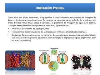 Como visto nos slides anteriores, a Aquaporina 1 possui diversos mecanismos de filtragem de
água, assim torna-se uma importante ferramenta de pesquisa para a solução de problemas em
áreas diversas. Uma destas áreas é solucionar o problema de filtragem de água não potável,
como por exemplo resíduos de processos industrias, águas salobras.
• Ambiental :tratamento de águas poluídas.
• Farmacêutico: desenvolvimento de fármacos para melhorar a hidratação de células.
• Biológicos: Desenvolvimento de mecanismos de controle (para aquaporinas que não efetuam
    sua função como esperado, causando assim doenças) e reprodução (para organismos com
    escassez da proteína).
 