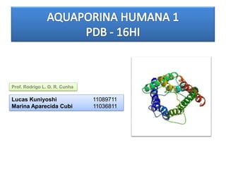 Prof. Rodrigo L. O. R. Cunha

Lucas Kuniyoshi                11089711
Marina Aparecida Cubi          11036811
 