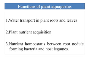 Aquaporins and its importance in plant system | PPTX
