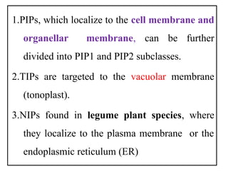 Aquaporins and its importance in plant system | PPTX