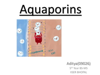 Aquaporins

Aditya(09026)
5th Year BS-MS
IISER BHOPAL

 
