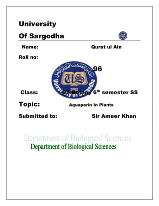 University
Of Sargodha
Name: Qurat ul Ain
Roll no:
96
Class: BS Botany 6th
semester SS
Topic: Aquaporin In Plants
Submitted to: Sir Ameer Khan
 
