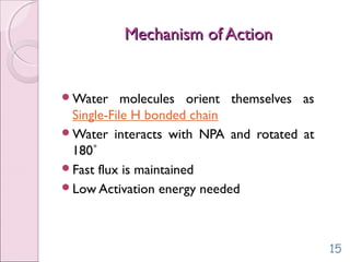 Mechanism of ActionMechanism of Action
15
Water molecules orient themselves as
Single-File H bonded chain
Water interacts with NPA and rotated at
180˚
Fast flux is maintained
Low Activation energy needed
 