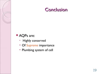 ConclusionConclusion
AQPs are:
• Highly conserved
• Of Supreme importance
• Plumbing system of cell
19
 