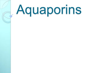 Aquaporins
 
