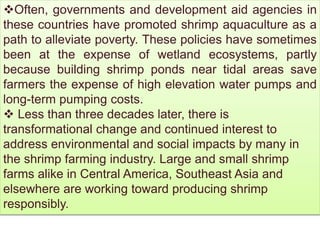 Often, governments and development aid agencies in
these countries have promoted shrimp aquaculture as a
path to alleviate poverty. These policies have sometimes
been at the expense of wetland ecosystems, partly
because building shrimp ponds near tidal areas save
farmers the expense of high elevation water pumps and
long-term pumping costs.
 Less than three decades later, there is
transformational change and continued interest to
address environmental and social impacts by many in
the shrimp farming industry. Large and small shrimp
farms alike in Central America, Southeast Asia and
elsewhere are working toward producing shrimp
responsibly.
 