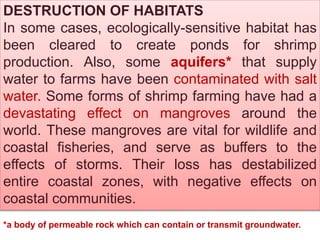 DESTRUCTION OF HABITATS
In some cases, ecologically-sensitive habitat has
been cleared to create ponds for shrimp
production. Also, some aquifers* that supply
water to farms have been contaminated with salt
water. Some forms of shrimp farming have had a
devastating effect on mangroves around the
world. These mangroves are vital for wildlife and
coastal fisheries, and serve as buffers to the
effects of storms. Their loss has destabilized
entire coastal zones, with negative effects on
coastal communities.
*a body of permeable rock which can contain or transmit groundwater.
 