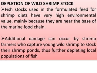 DEPLETION OF WILD SHRIMP STOCK
Fish stocks used in the formulated feed for
shrimp diets have very high environmental
value, mainly because they are near the base of
the marine food chain.
Additional damage can occur by shrimp
farmers who capture young wild shrimp to stock
their shrimp ponds, thus further depleting local
populations of fish
 