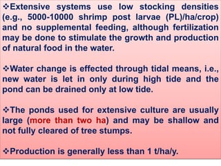 Extensive systems use low stocking densities
(e.g., 5000-10000 shrimp post larvae (PL)/ha/crop)
and no supplemental feeding, although fertilization
may be done to stimulate the growth and production
of natural food in the water.
Water change is effected through tidal means, i.e.,
new water is let in only during high tide and the
pond can be drained only at low tide.
The ponds used for extensive culture are usually
large (more than two ha) and may be shallow and
not fully cleared of tree stumps.
Production is generally less than 1 t/ha/y.
 