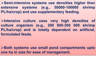 Semi-intensive systems use densities higher than
extensive systems (e.g., 50000-100000 shrimp
PL/ha/crop) and use supplementary feeding.
Intensive culture uses very high densities of
culture organism (e.g., 200 000-300 000 shrimp
PL/ha/crop) and is totally dependent on artificial,
formulated feeds.
Both systems use small pond compartments upto
one ha in size for ease of management.
 