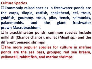 Culture Species
Commonly raised species in freshwater ponds are
the carps, tilapia, catfish, snakehead, eel, trout,
goldfish, gouramy, trout, pike, tench, salmonids,
palaemonids, and the giant freshwater
prawn Macrobrachium.
In brackishwater ponds, common species include
milkfish (Chanos chanos), mullet (Mugil sp.) and the
different penaeid shrimps
The more popular species for culture in marine
ponds are the sea bass, grouper, red sea bream,
yellowtail, rabbit fish, and marine shrimps.
 