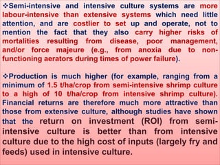 Semi-intensive and intensive culture systems are more
labour-intensive than extensive systems which need little
attention, and are costlier to set up and operate, not to
mention the fact that they also carry higher risks of
mortalities resulting from disease, poor management,
and/or force majeure (e.g., from anoxia due to non-
functioning aerators during times of power failure).
Production is much higher (for example, ranging from a
minimum of 1.5 t/ha/crop from semi-intensive shrimp culture
to a high of 10 t/ha/crop from intensive shrimp culture).
Financial returns are therefore much more attractive than
those from extensive culture, although studies have shown
that the return on investment (ROI) from semi-
intensive culture is better than from intensive
culture due to the high cost of inputs (largely fry and
feeds) used in intensive culture.
 