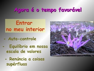 Entrar  no meu interior -  Auto-controle -  Equilíbrio em nossa escala de valores -  Renúncia a coisas supérfluas Agora é o tempo favorável 
