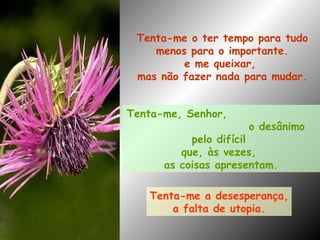 Tenta-me a desesperança, a falta de utopia. Tenta-me o ter tempo para tudo menos para o importante. e me queixar,  mas não fazer nada para mudar. Tenta-me, Senhor,  o desânimo pelo difícil  que, às vezes,  as coisas apresentam. 