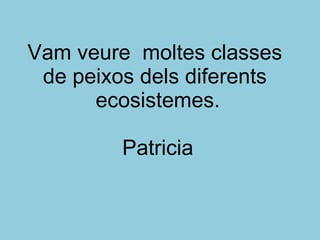 Vam veure  moltes classes  de peixos dels diferents  ecosistemes. Patricia 